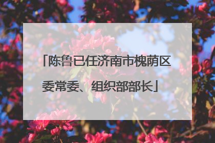 陈鲁已任济南市槐荫区委常委、组织部部长