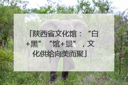 陕西省文化馆：“白+黑”“馆+景”，文化供给向美而聚