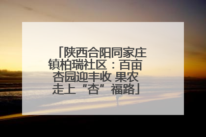 陕西合阳同家庄镇柏瑞社区：百亩杏园迎丰收 果农走上“杏”福路