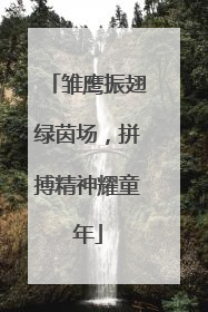 雏鹰振翅绿茵场，拼搏精神耀童年