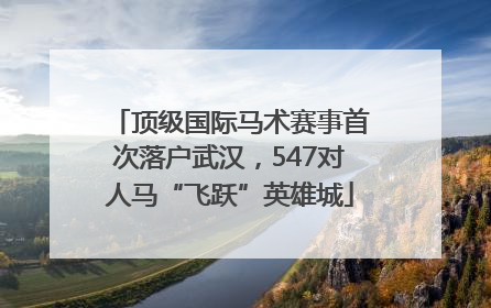 顶级国际马术赛事首次落户武汉，547对人马“飞跃”英雄城