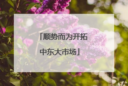 顺势而为开拓中东大市场