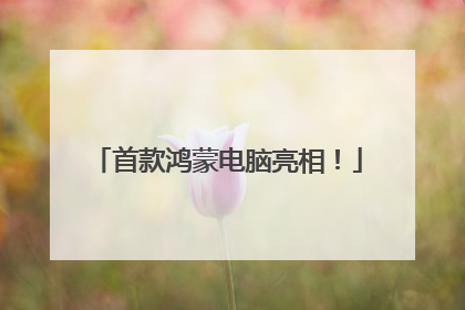 首款鸿蒙电脑亮相！