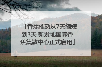 香蕉催熟从7天缩短到3天 新发地国际香蕉集散中心正式启用