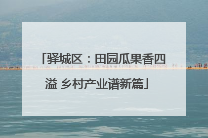 驿城区：田园瓜果香四溢 乡村产业谱新篇