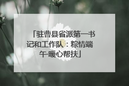 驻曹县省派第一书记和工作队：粽情端午·暖心帮扶