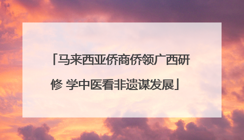 马来西亚侨商侨领广西研修 学中医看非遗谋发展