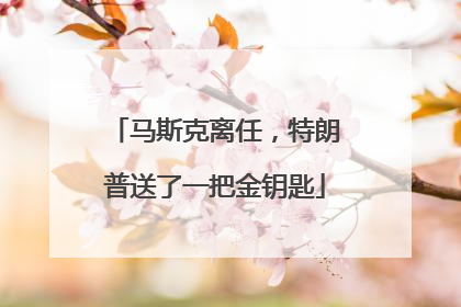 马斯克离任，特朗普送了一把金钥匙