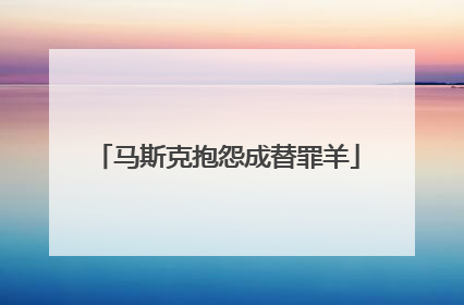 马斯克抱怨成替罪羊