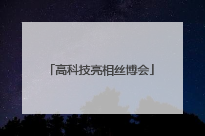高科技亮相丝博会