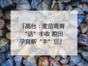 高台：麦苗青青“话”丰收 粮田孕育新“丰”景