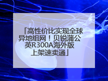 高性价比实现全球异地组网！贝锐蒲公英R300A海外版上架速卖通