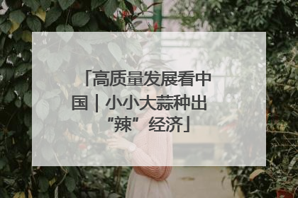 高质量发展看中国｜小小大蒜种出“辣”经济