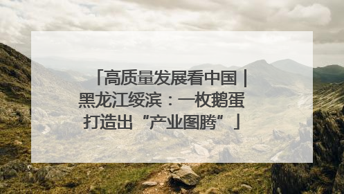 高质量发展看中国｜黑龙江绥滨：一枚鹅蛋打造出“产业图腾”