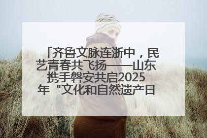 齐鲁文脉连浙中，民艺青春共飞扬——山东携手磐安共启2025年“文化和自然遗产日”系列活动