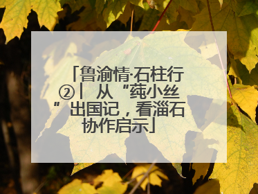 鲁渝情·石柱行② ︳从“莼小丝”出国记，看淄石协作启示