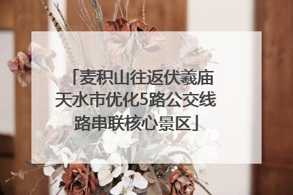 麦积山往返伏羲庙 天水市优化5路公交线路串联核心景区
