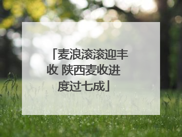 麦浪滚滚迎丰收 陕西麦收进度过七成