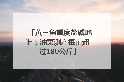 黄三角重度盐碱地上，油菜测产每亩超过180公斤