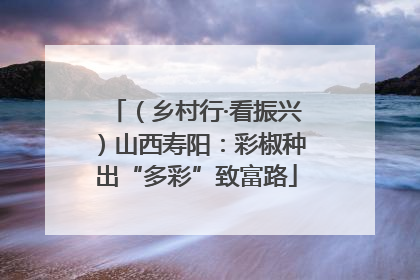 （乡村行·看振兴）山西寿阳：彩椒种出“多彩”致富路