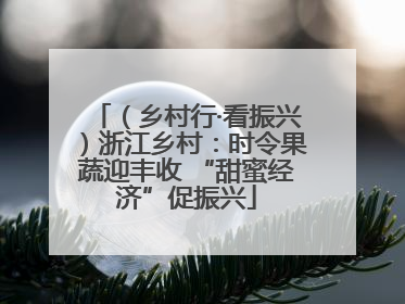 （乡村行·看振兴）浙江乡村：时令果蔬迎丰收 “甜蜜经济”促振兴