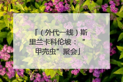 （外代一线）斯里兰卡科伦坡：“甲壳虫”聚会
