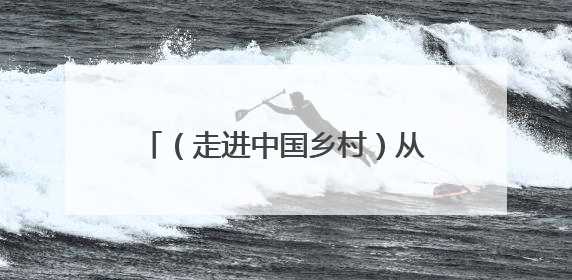 （走进中国乡村）从 “食疗养生” 到 “适老化改造” 秦岭腹地成康养“福地”