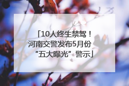 10人终生禁驾！河南交警发布5月份“五大曝光”警示
