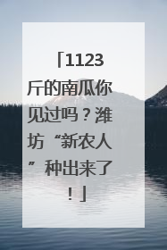 1123斤的南瓜你见过吗？潍坊“新农人”种出来了！