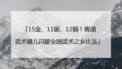 15金、11银、12铜！青浦武术健儿闪耀全国武术之乡比赛