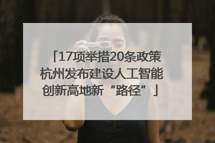 17项举措20条政策 杭州发布建设人工智能创新高地新“路径”