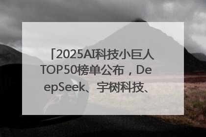 2025AI科技小巨人TOP50榜单公布，DeepSeek、宇树科技、蘑菇车联等企业荣誉上榜