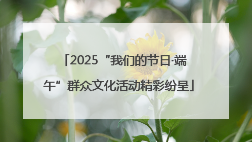 2025“我们的节日·端午”群众文化活动精彩纷呈