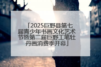 2025巨野县第七届青少年书画文化艺术节暨第二届巨野工笔牡丹画消费季开幕