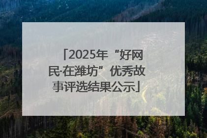2025年“好网民·在潍坊”优秀故事评选结果公示