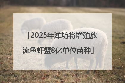 2025年潍坊将增殖放流鱼虾蟹8亿单位苗种