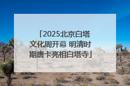 2025北京白塔文化周开幕 明清时期唐卡亮相白塔寺