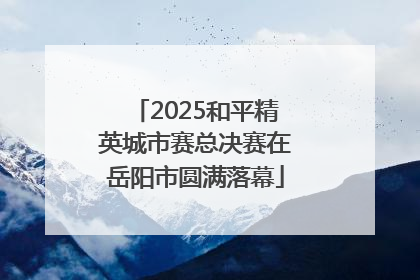 2025和平精英城市赛总决赛在岳阳市圆满落幕