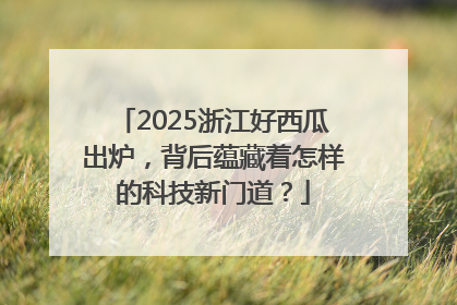 2025浙江好西瓜出炉，背后蕴藏着怎样的科技新门道？