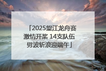 2025望江龙舟赛激情开桨 14支队伍劈波斩浪迎端午