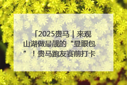 2025贵马｜来观山湖做最靓的“显眼包”！贵马跑友赛前打卡点燃奔跑热情