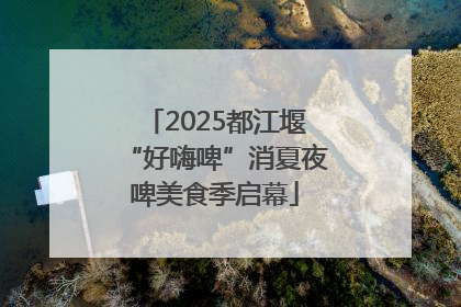 2025都江堰“好嗨啤”消夏夜啤美食季启幕
