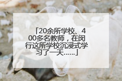 20余所学校、400多名教师，在闵行这所学校沉浸式学习了一天……