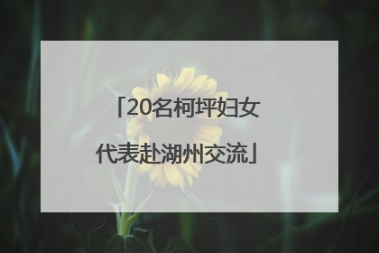 20名柯坪妇女代表赴湖州交流