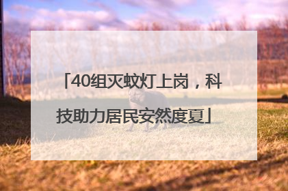 40组灭蚊灯上岗，科技助力居民安然度夏