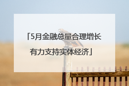 5月金融总量合理增长 有力支持实体经济