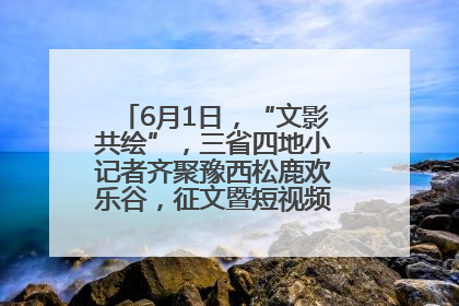 6月1日，“文影共绘”，三省四地小记者齐聚豫西松鹿欢乐谷，征文暨短视频大赛精彩启幕！