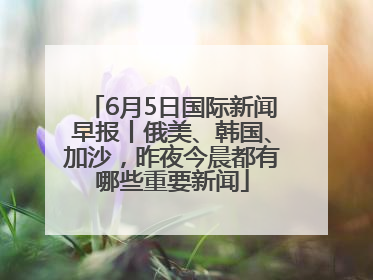 6月5日国际新闻早报丨俄美、韩国、加沙，昨夜今晨都有哪些重要新闻