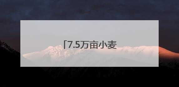 7.5万亩小麦喜开夏收第一镰