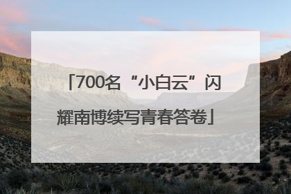 700名“小白云”闪耀南博续写青春答卷
